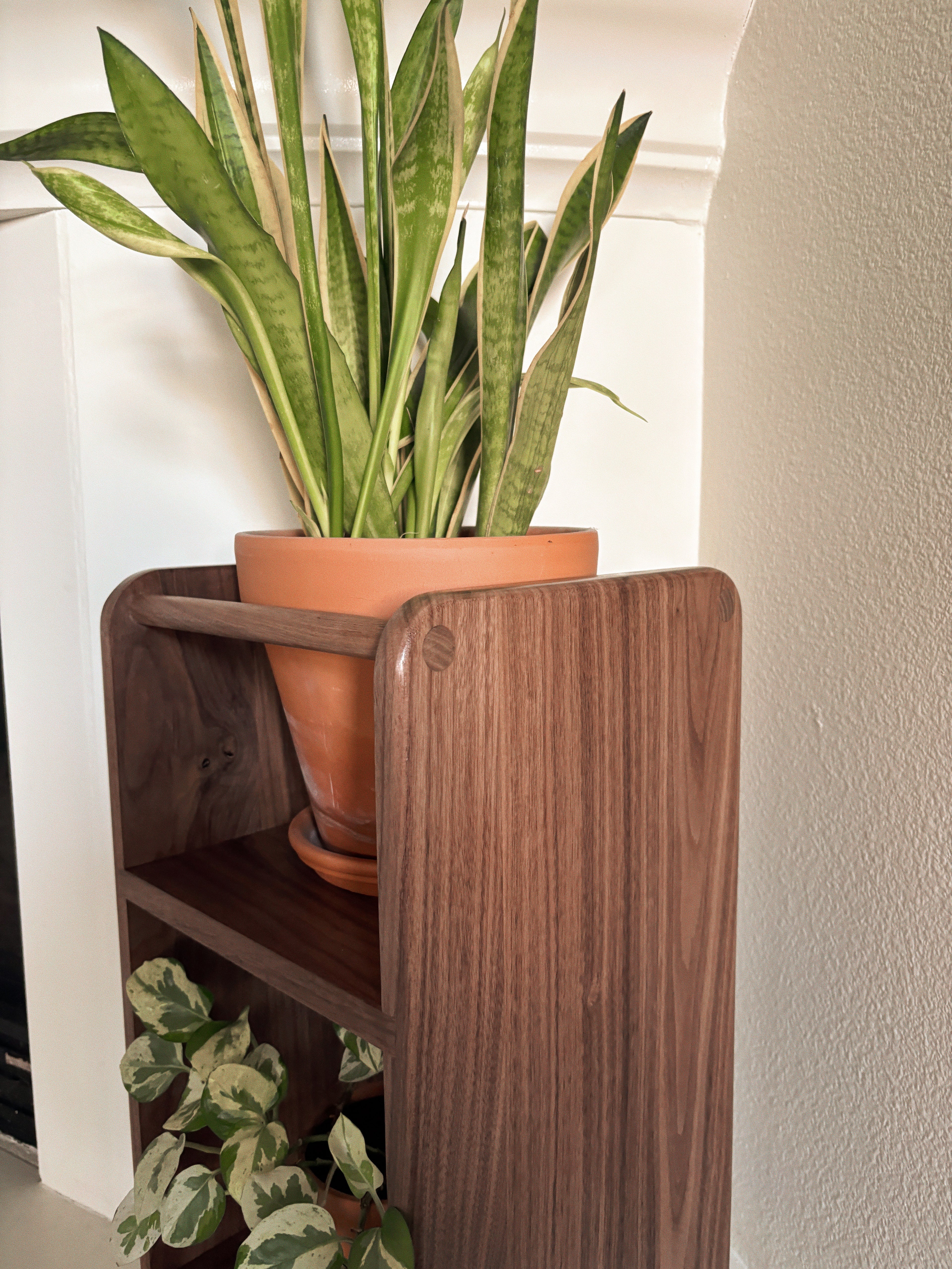 Sunny Coast Plant Stand